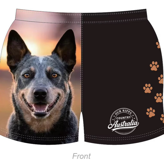 Footy Short - Cattle Dog