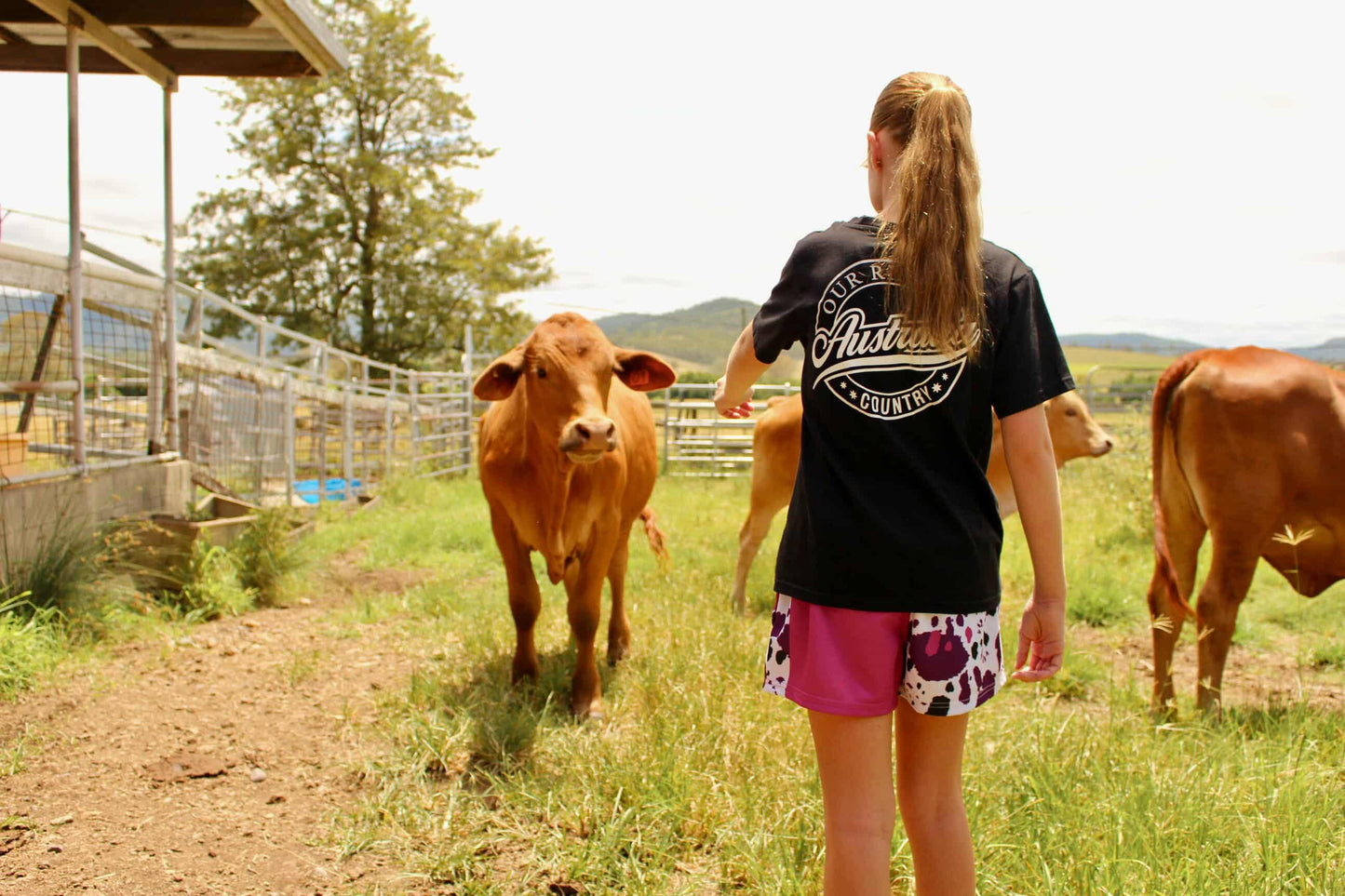 Footy Shorts –  Purple Cow Print