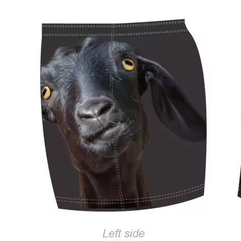 Footy Shorts - Gary the Goat